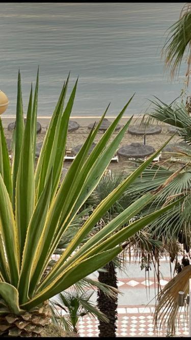 דירות בנאלמדנה Vista Marina מראה חיצוני תמונה